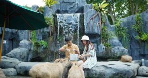 Marine Safari Bali, Tempat Yang Cocok Untuk Liburan Sekolah
