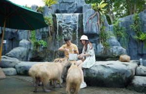 Marine Safari Bali, Tempat Yang Cocok Untuk Liburan Sekolah