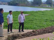 Camat Deny Libatkan Unpad Untuk Tangani Eceng Gondok Waduk Darma