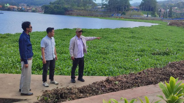 Camat Deny Libatkan Unpad Untuk Tangani Eceng Gondok Waduk Darma