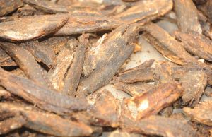 Ikan Kayu dan Asap Masuk Sistem SRG, Bantu Pelaku Usaha Jaga Stabilitas Harga dan Permudah Pinjaman di Bank