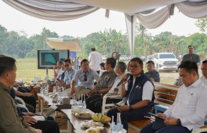 Kolaborasi Kemenko Pangan dan PTPN I (Persero) Wujudkan Pusat Pembibitan Perkebunan Modern