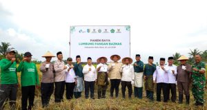 BAZNAS Bersama Petani Binaan di Batu Bara Sukses Panen Raya 150 Ton Padi
