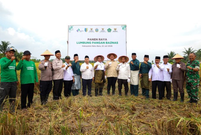 BAZNAS Bersama Petani Binaan di Batu Bara Sukses Panen Raya 150 Ton Padi
