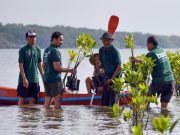 Hari Mangrove Sedunia 2026, Bank BSN Dorong Pelestarian Ekosistem Pesisir