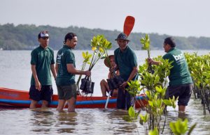 Hari Mangrove Sedunia 2026, Bank BSN Dorong Pelestarian Ekosistem Pesisir