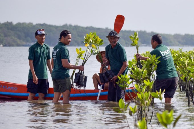 Hari Mangrove Sedunia 2026, Bank BSN Dorong Pelestarian Ekosistem Pesisir