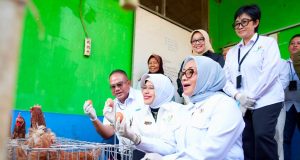 Menteri PPPA dan Kepala BPS Apresiasi Pemberdayaan PNM untuk Usaha Ekonomi Sirkular