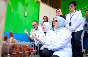 Menteri PPPA dan Kepala BPS Apresiasi Pemberdayaan PNM untuk Usaha Ekonomi Sirkular