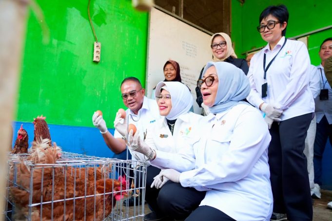 Menteri PPPA dan Kepala BPS Apresiasi Pemberdayaan PNM untuk Usaha Ekonomi Sirkular