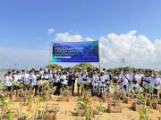 PNM Hadirkan Dampak Berantai bagi Lingkungan dan Ekonomi Pesisir di Hari Mangrove Sedunia
