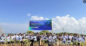 PNM Hadirkan Dampak Berantai bagi Lingkungan dan Ekonomi Pesisir di Hari Mangrove Sedunia