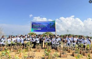 PNM Hadirkan Dampak Berantai bagi Lingkungan dan Ekonomi Pesisir di Hari Mangrove Sedunia