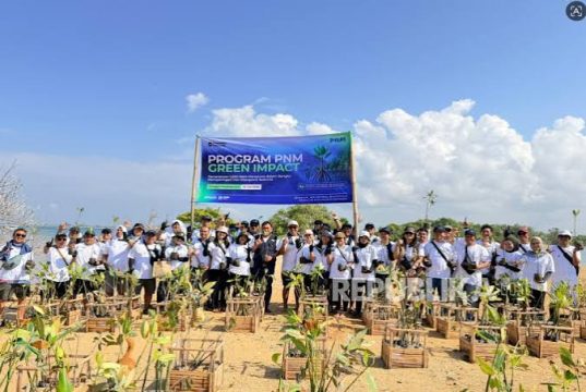 PNM Hadirkan Dampak Berantai bagi Lingkungan dan Ekonomi Pesisir di Hari Mangrove Sedunia