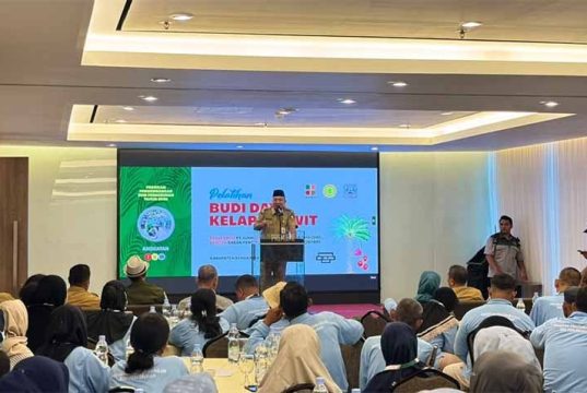 Target CPO 100 Juta Ton, BPDP, Ditjenbun dan PT SIB Gelar Pelatihan Pekebun Sawit Bengkalis