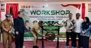 BPDP Bersama APKASINDO Tingkatkan Kapasitas SDM Koperasi Petani Sawit