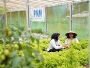 PNM Perluas Akses Pembiayaan Hingga Wilayah 3T