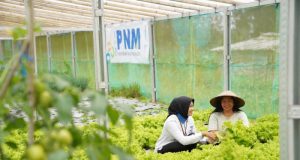 PNM Perluas Akses Pembiayaan Hingga Wilayah 3T