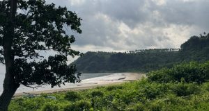 Lampung Selatan Jadi Lokasi Relawan Bakti BUMN 2026, PTPN Group dan InJourney Group Siap Bersinergi