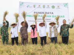 Panen Raya Lumbung Pangan BAZNAS di Pesawaran, Petani Tunaikan Zakat Pertanian Rp12,2 juta