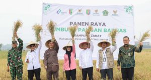 Panen Raya Lumbung Pangan BAZNAS di Pesawaran, Petani Tunaikan Zakat Pertanian Rp12,2 juta