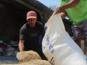 Dorong Ketahanan Pangan Pesisir, M4CR Berikan Pendampingan di Delta Mahakam Kalimantan Timur