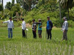 Menanam Harapan dan Menuai Masa Depan Lewat Bertani Berkelanjutan