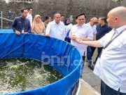 Budidaya Ayam dan Ikan Nila, PNM Gulirkan Program Lansiapreneur di Rumah Oma Depok
