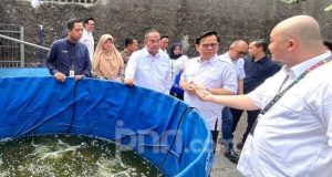 Budidaya Ayam dan Ikan Nila, PNM Gulirkan Program Lansiapreneur di Rumah Oma Depok