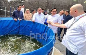Budidaya Ayam dan Ikan Nila, PNM Gulirkan Program Lansiapreneur di Rumah Oma Depok