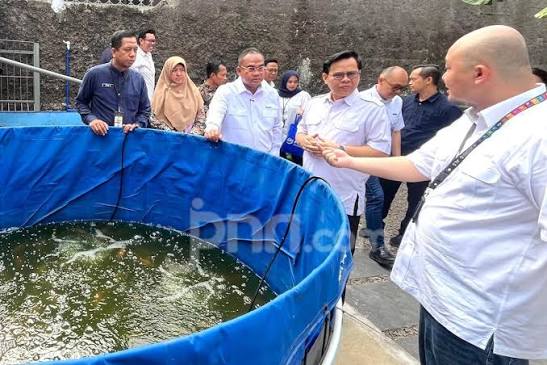 Budidaya Ayam dan Ikan Nila, PNM Gulirkan Program Lansiapreneur di Rumah Oma Depok