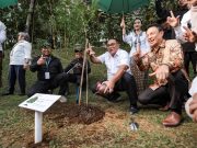 120 Ribu Pohon Ditanam, EIGER Nature Kembangkan Ekowisata Berbasis Konservasi