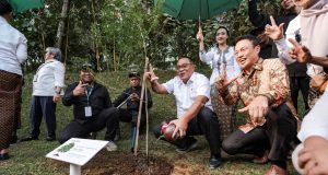 120 Ribu Pohon Ditanam, EIGER Nature Kembangkan Ekowisata Berbasis Konservasi