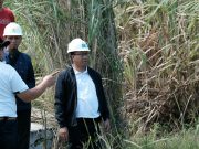 Komisaris PLN: Pergantian Dirut Tak Boleh Hambat Transformasi
