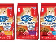 44% Pemilik Kucing Kini Pertimbangkan Kesehatan Organ dalam Memilih Dry Food