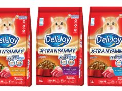 44% Pemilik Kucing Kini Pertimbangkan Kesehatan Organ dalam Memilih Dry Food