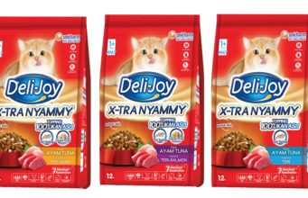 44% Pemilik Kucing Kini Pertimbangkan Kesehatan Organ dalam Memilih Dry Food